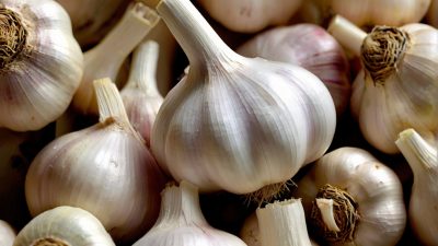 health benefits of garlic